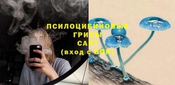 ALPHA PVP Артём