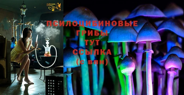 сатива Костерёво